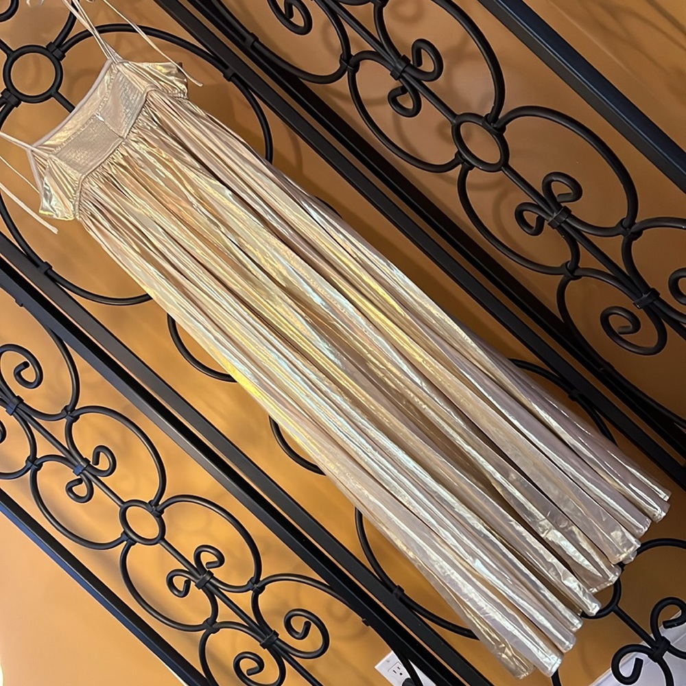 VICI Night Glow Pleated Metallic Maxi Dress - Picture 7 of 13